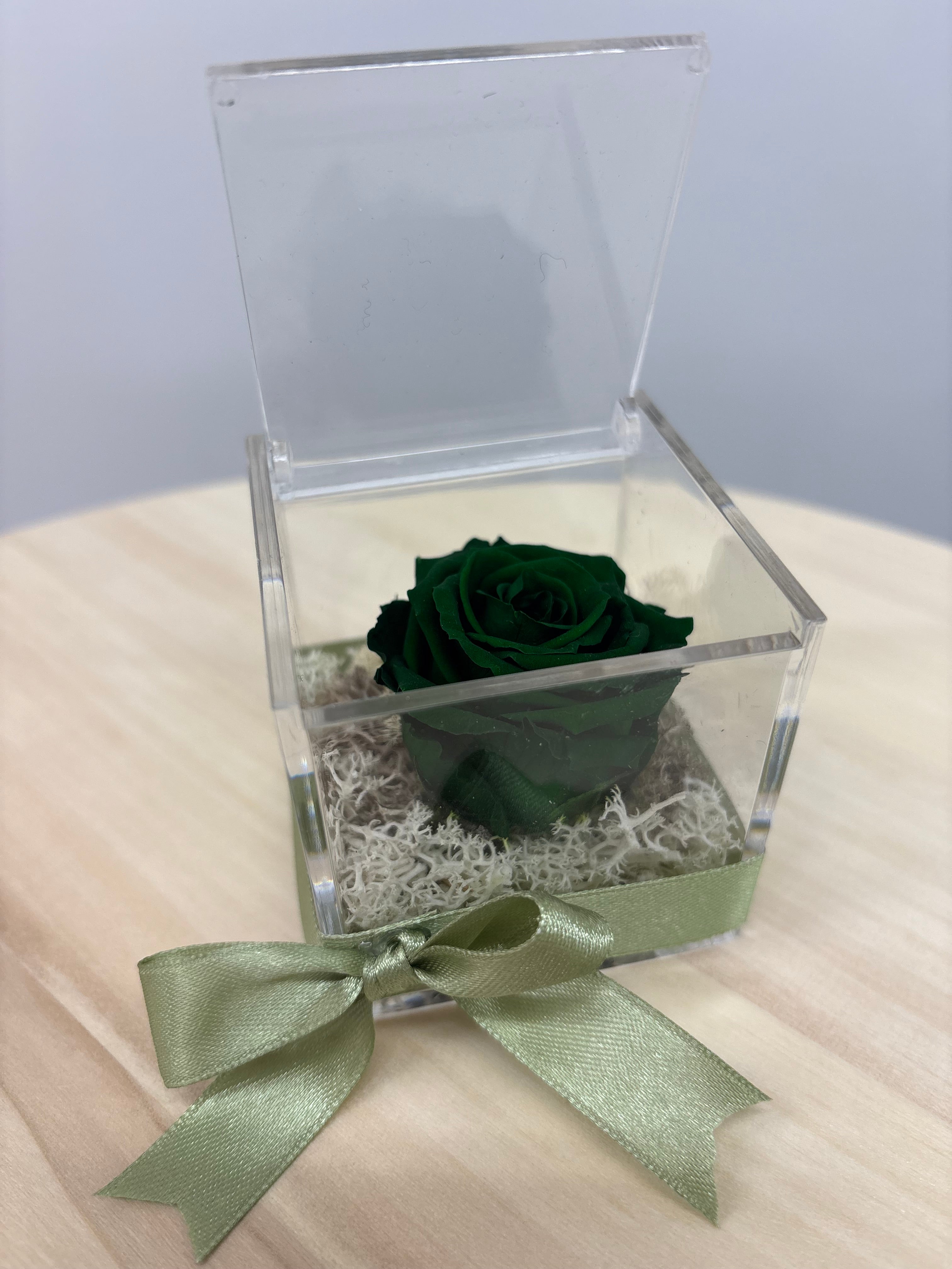 Rosa eterna verde