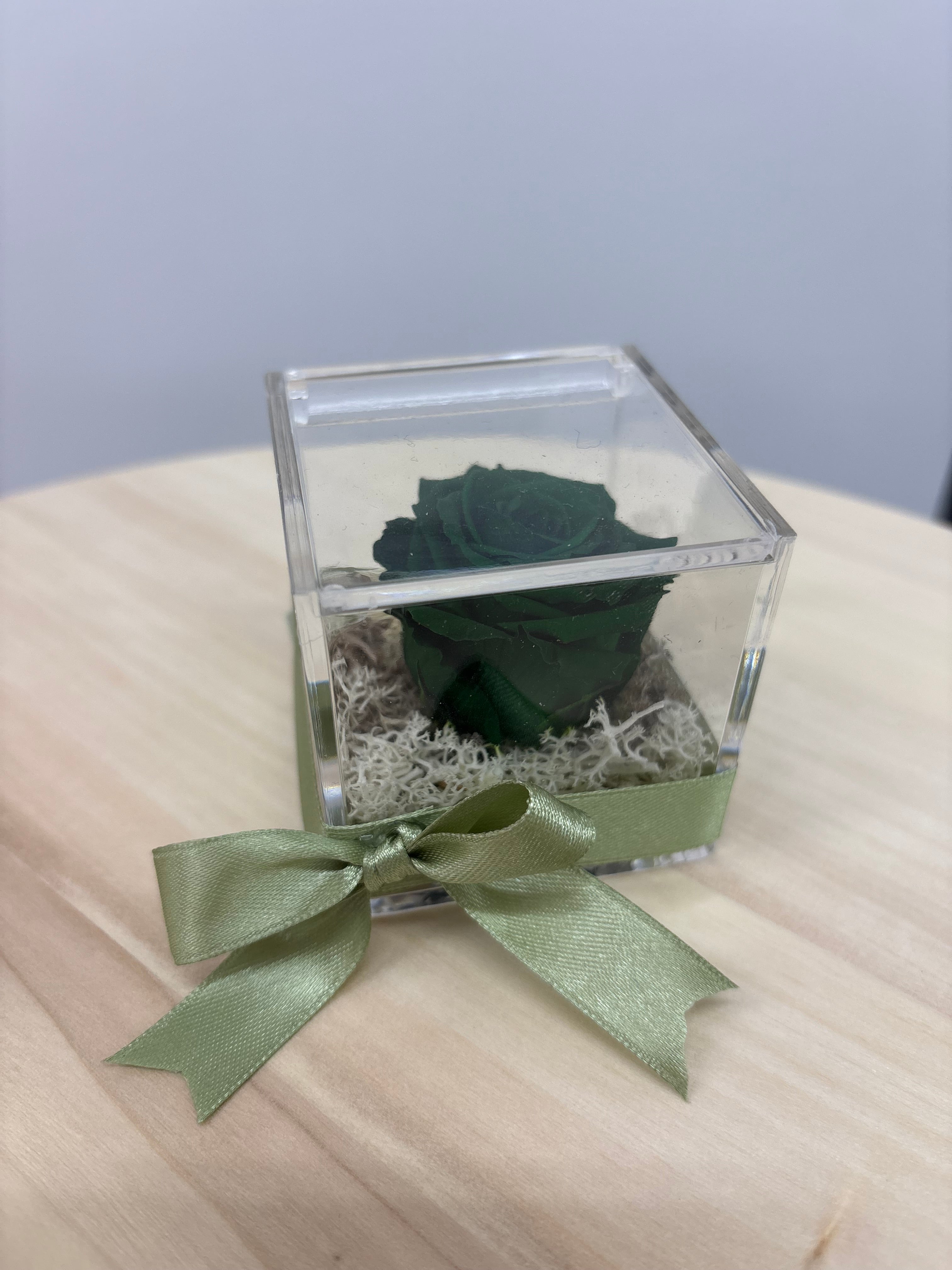Rosa eterna verde