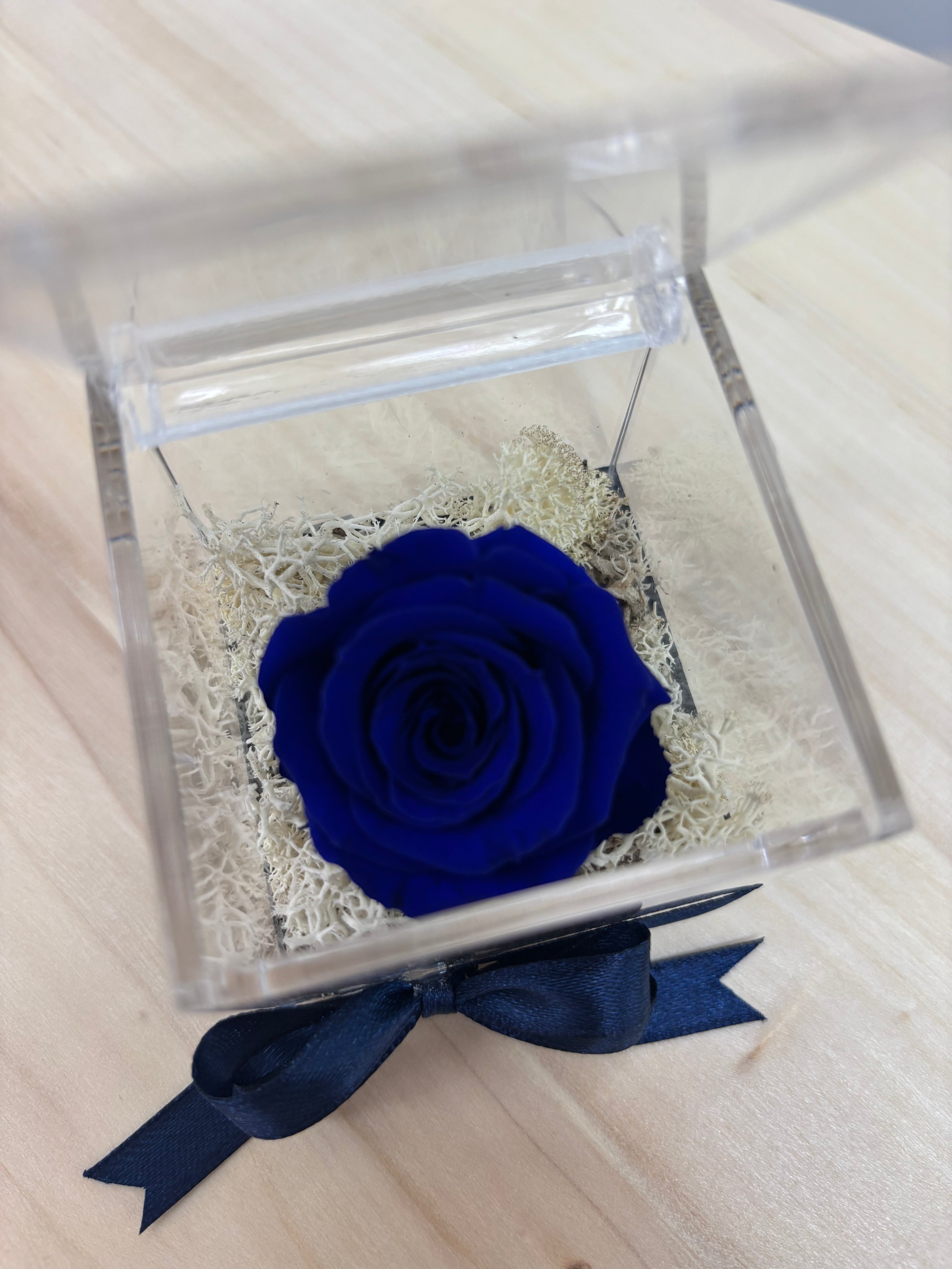 Rosa eterna composizione plexiglas